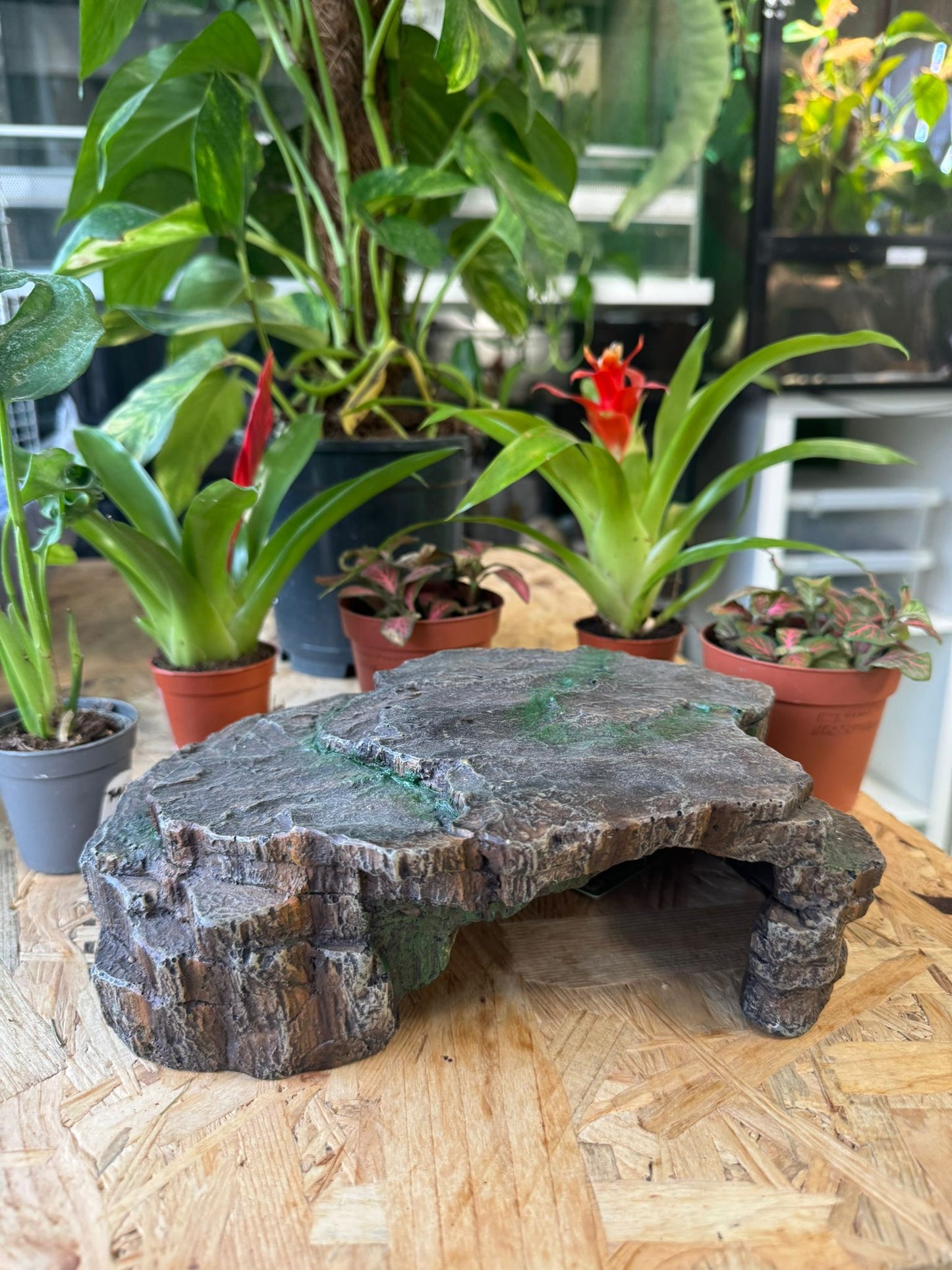 Tana finta roccia 22x14x7