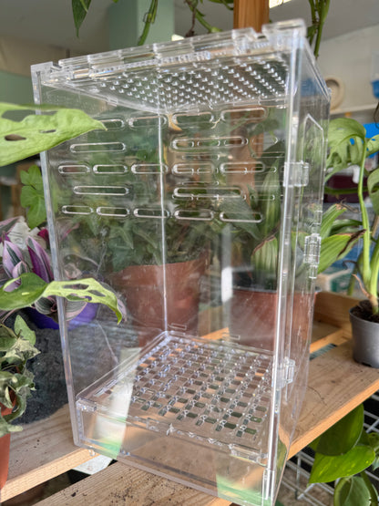 Terrari in acrilico