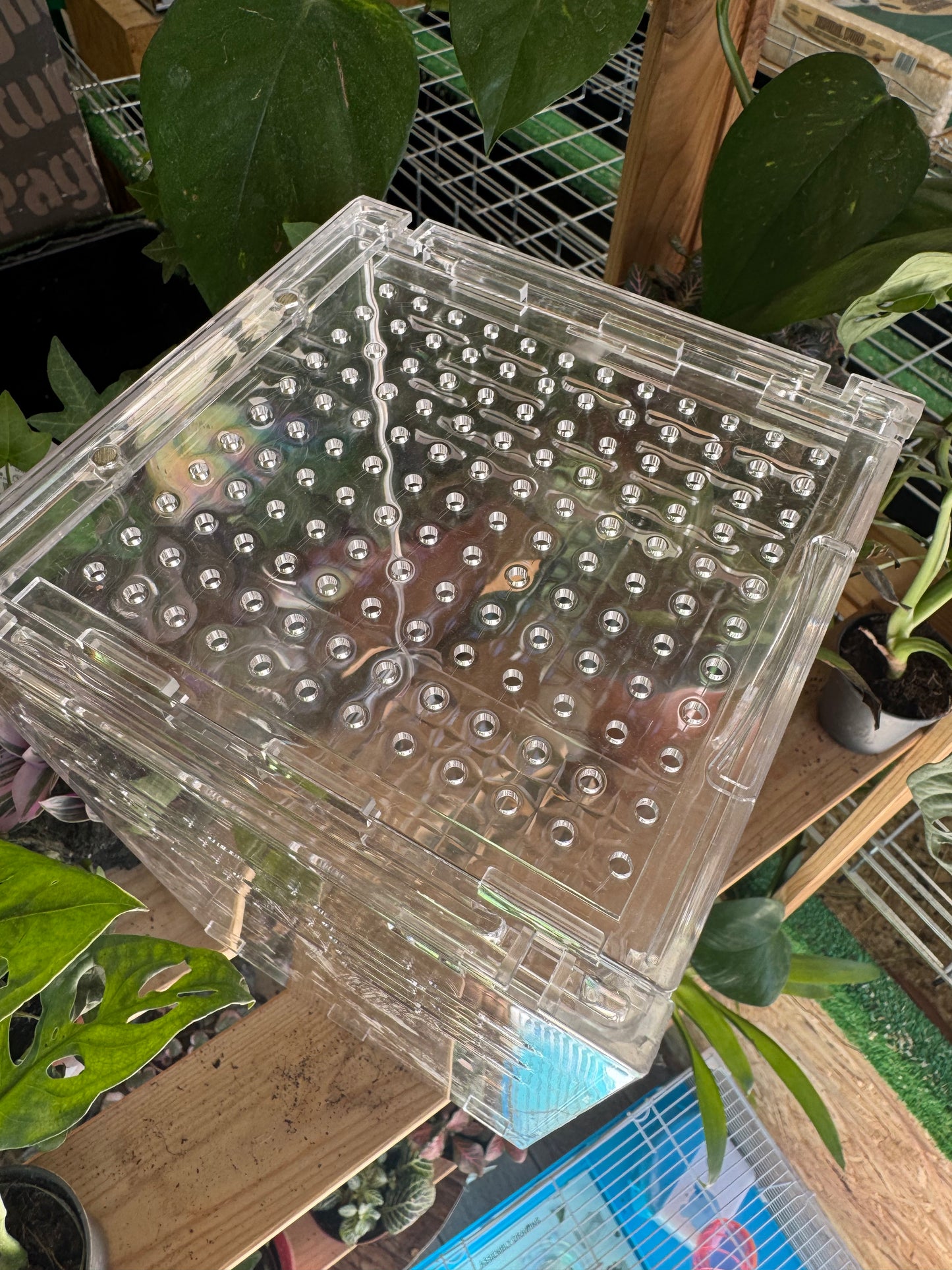Terrari in acrilico