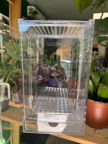 Terrari in acrilico
