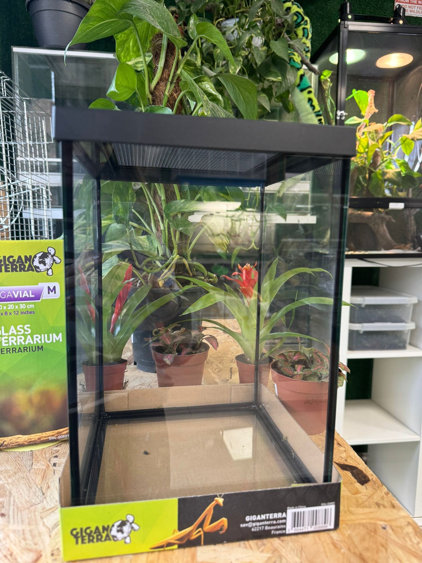 Giganterra vetro 20x20x30